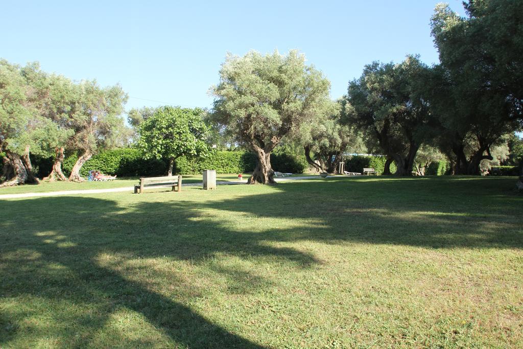 Hotel Club La Font Des Horts Hyères Eksteriør bilde
