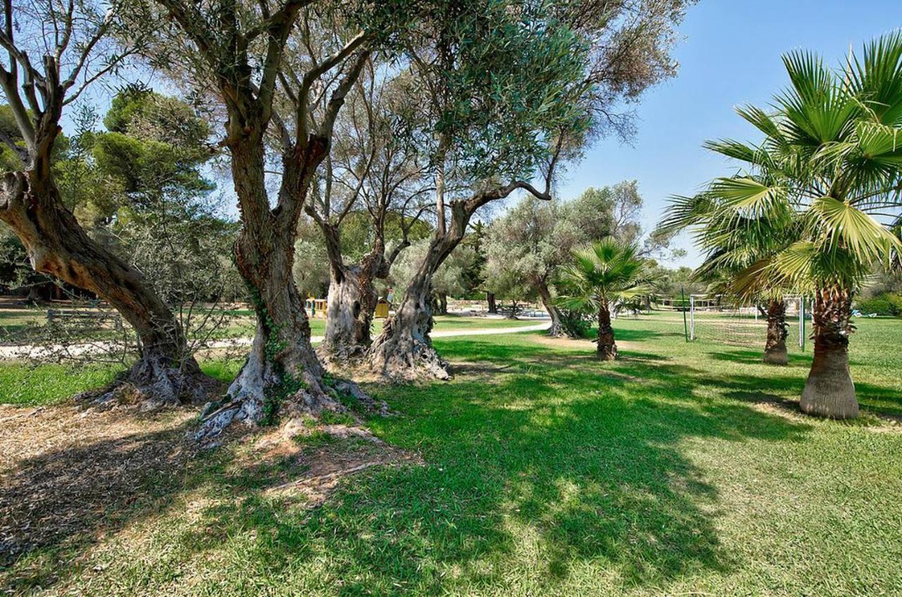 Hotel Club La Font Des Horts Hyères Eksteriør bilde